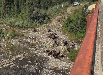 site with bio-engineering applied